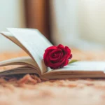 Life-Changing Poems for Hard Times: Finding Strength and Peace in the Storm